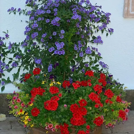 Apartamento Gaestehaus Friedl *